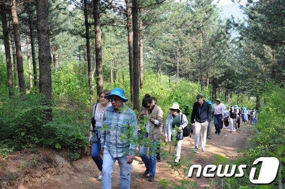 DMZ 산림문화 체험 행사 참가자들이 DMZ 펀치볼 둘레길을 걷고 있다. © News1