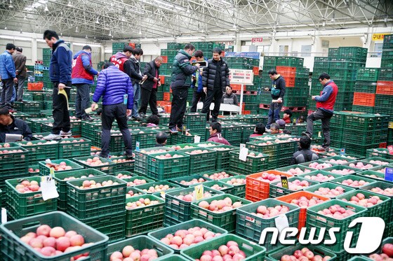 경북 안동시농산물도매시장/뉴스1 DB © News1