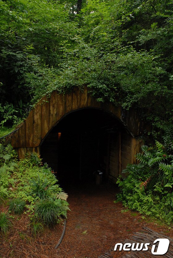제주특별자치도와 문화재청이 2013년 가마오름 진지동굴을 매입하고도 진입로를 확보하지 못해 수년간 방치되고 있다. 사진은 가마오름 진지동굴 입구(문화재청 제공)/뉴스1
