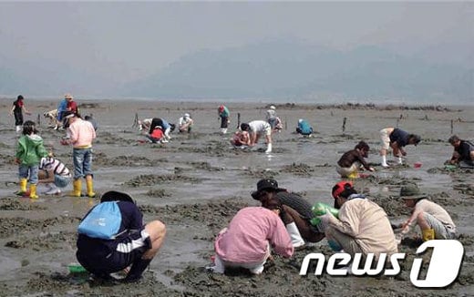 전북 고창 하전어촌체험마을 갯벌체험 모습(뉴스1/DB)© News1