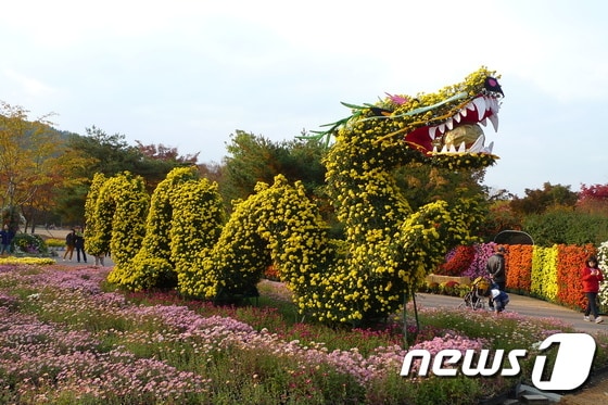 오는 28일부터 다음달 9일까지 대구수목원에서 열리는 국화전시회에 선보일 용 모형작/사진제공=대구시© News1