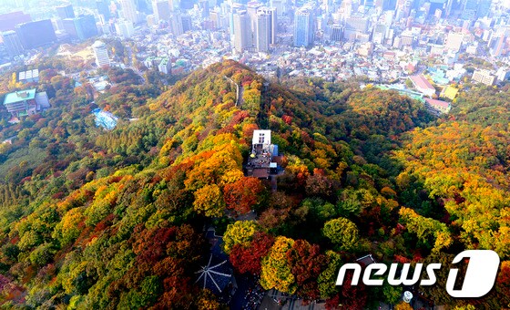 24일 오후 서울N타워에서 바라본 남산이 단풍으로 붉게 물들어가고 있다. 2014.10.24/뉴스1 © News1 박지혜 기자