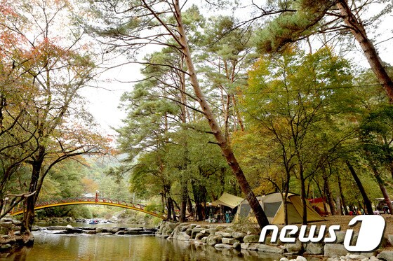 금당계곡에 자리한 솔섬오토캠핑장 전경. (한국관광공사 제공) © News1