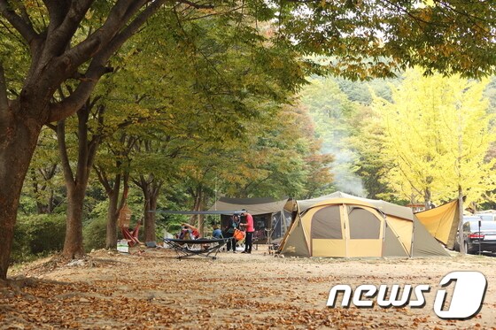 가을이 무르익은 방화동가족휴가촌 오토캠핑장. (한국관광공사 제공) © News1