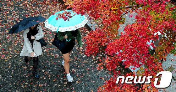 전북 전주시 전북대학교에서 학생들이 우산을 쓴 채 걸어가고 있다. © News1 김대웅 기자