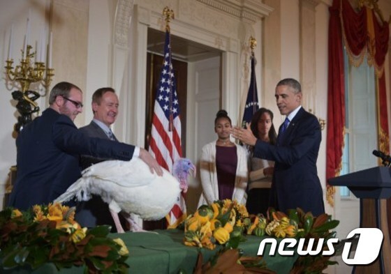 버락 오바마 미국 대통령은 추수감사절 휴일을 하루 앞둔 26일(현지시간) 백악관 전통행사인 칠면조 '사면식'을 열었다. © AFP=뉴스1