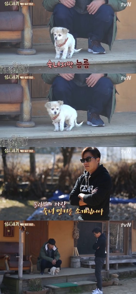 이서진이 '삼시세끼'에서 강아지 밍키 성장을 보며 감탄했다 © tvN '삼시세끼' 캡처