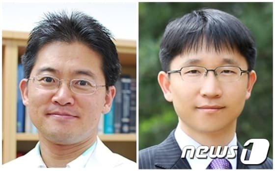 정하웅 교수(왼쪽,) 손승우 교수(오른쪽)© News1