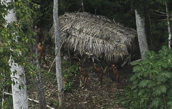 브라질 아마존 유역의 원주민들이 헬리콥터가 지나가자 뾰족한 창을 들고 경계태세를 취하고 있다. 외부 세계와 접촉한 적이 없는 것으로 알려진 이들의 사진은 지난 3월 국립원주민재단을 통해 공개됐다. © 로이터=뉴스1 © News1