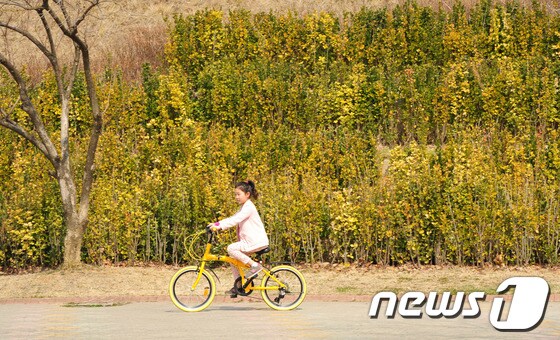 [자료] 한 어린아이가 자전거를 타며 봄기운을 만끽 하고 있다. 2014.3.16/뉴스1 © News1