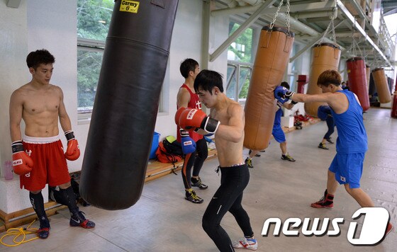국가대표 복싱(자료사진). 2014.6.11/뉴스1