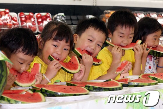 서울 농협하나로클럽 양재점에서 초복을 앞두고 열린 '어린이 수박 빨리먹기 대회'에 참가한 유치원생들이 수박을 먹고 있다. © News1