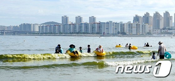 부산 광안리해수욕장 '녹조 파도'
