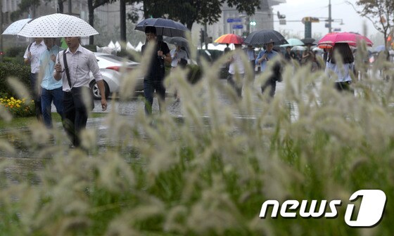 중부 지방에 호우주의보가 내려진 21일 오전 밭 옆으로 우산을 쓴 시민들이 출근길을 재촉하고 있다. 2014.8.21/뉴스1 © News1 안은나 기자