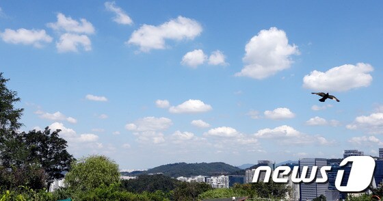 화창한 날씨를 보인 28일 오전 서울 상암동 하늘공원에서 바라본 하늘에 구름이 떠있다. 2014.8.28/뉴스1 © News1 허경 기자