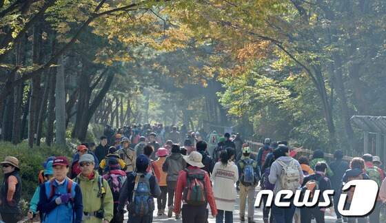 가을 관악산에 오르는 등산객들./© News1