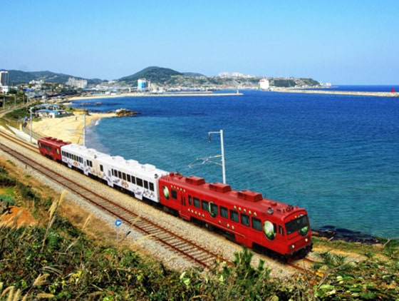 바다열차 (코레일 제공) © News1
