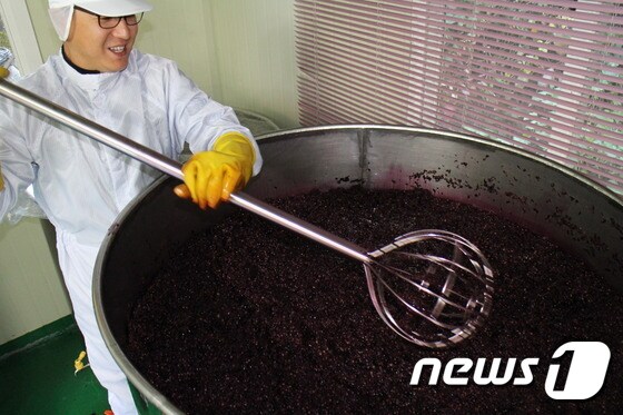 국내 유일의 포도·와인 산업 특구인 충북 영동군에서 와인을 생산하는 와이너리 농가가 분주하다. 사진은 와이너리 농가에서 포도를 발효시키는 모습. (영동군 제공)© News1