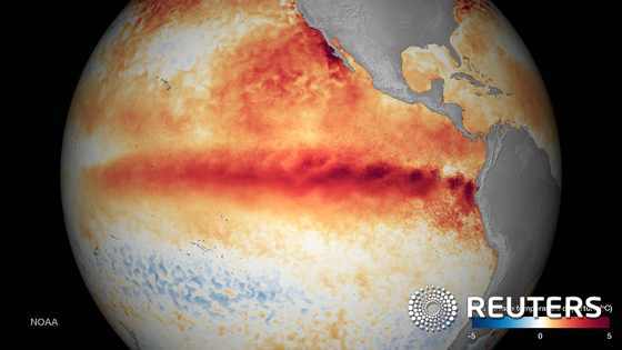 지구 해수면 온도를 보여 주는 미국국립해양대기청(NOAA)의 위성사진2015.10.9 © 로이터=뉴스1