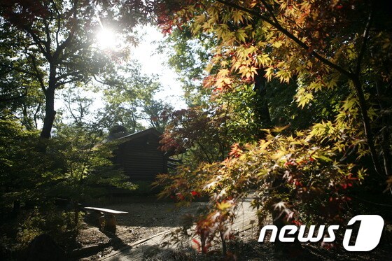 경기 포천 수목원의 가을. 이하 사진제공-관광공사 © News1