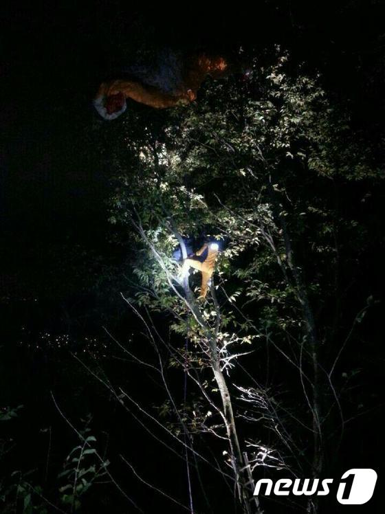 1일 오후 5시20분께 전북 완주군 구이면 경각산 이륙장에서 최모(30·여)씨가 패러글라이딩을 하다가 추락해 8m 높이의 나무에 걸렸다. © News1 박아론 기자