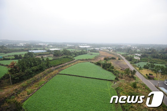 제주 제2공항 건설 예정지인 제주 서귀포시 성산읍 신산리 전경.© News1 DB