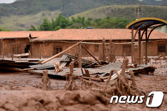 광산댐 폭발사고로 브라질 미나스제라이스 주 200여개 마을이 진흙탕으로 변했다. © AFP=뉴스1