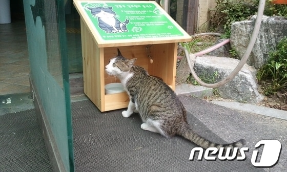 서울시 강동구에 위치한 한 길고양이 급식소. (자료사진) © News1