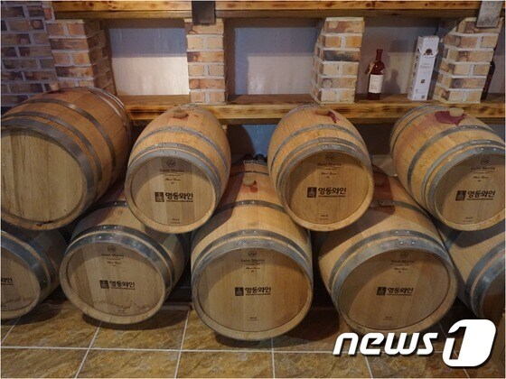 국내 유일 포도·와인산업 특구인 충북 영동군에서 내년부터 와인 숙성용 국산 오크통이 생산될 것으로 보인다. 사진은 국내산 오크통 시제품의 모습. (영동군 제공) © News1