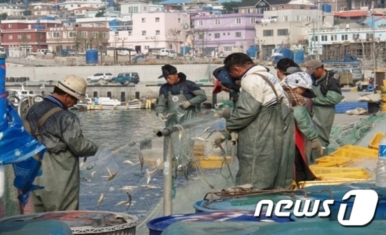 어업인들에게 보급된 생분해성 어구© News1