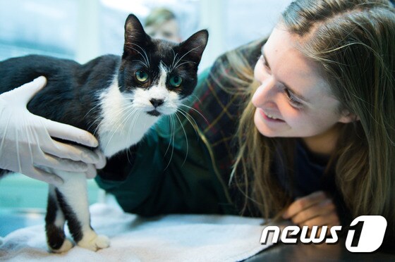 26일(현지시간) 동물 보호센터에서 엘레나 한케가 7년 만에 되찾은 고양이 미코를 만나 기뻐하고 있다. © AFP=뉴스1
