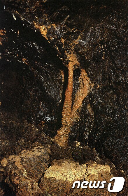9일 제주도가 유네스코(UNESCO) 세계자연유산에 추가 등재 후보군으로 선정한 빌레못동굴 내부 모습.(문화재청 제공)2015.12.9/뉴스1 © News1 이석형 기자