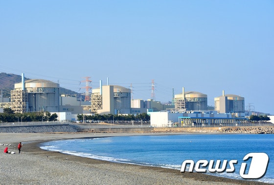 월성 1호기의 모습(뉴스1 자료사진)© News1 최창호 기자