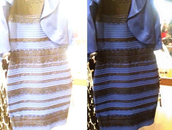 드레스 색깔 논란. © News1