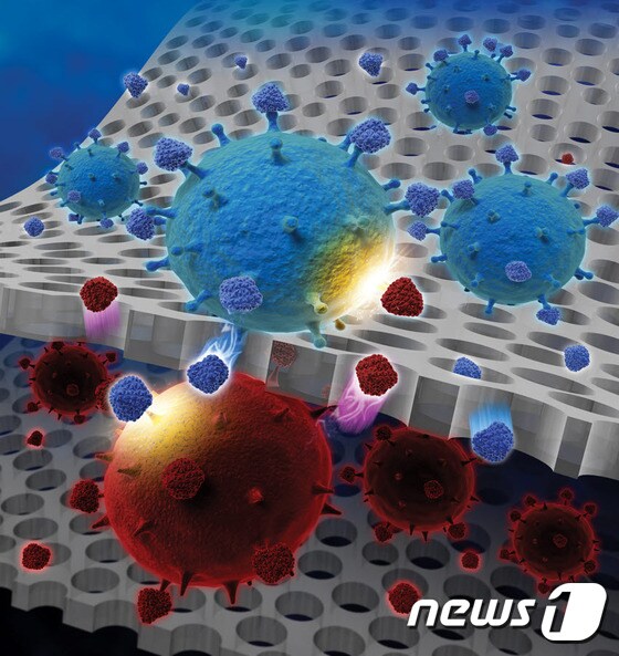 TNT다공성 나노멤브레인을 통한 암세포와 기질세포 상호작용에 대한 모식도.© News1