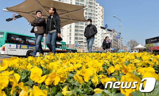 봄꽃 옆을 지나가고 있는 시민들./© News1