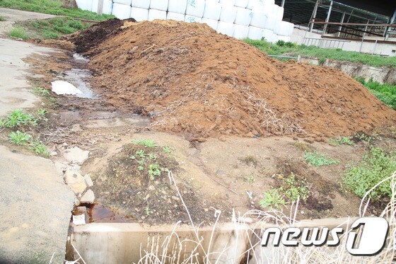 우포늪과 인접한 대합면 소야리 마을에는 큰 규모의 가축사육지에서 가축분뇨를 방류하고 있다. 2015.04.14/뉴스1 © News1 이철우 기자