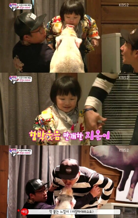 19일 방송된 KBS2 '슈퍼맨'에서 엄태웅 딸 지온이가 돼지와 입을 맞췄다. © 뉴스1스포츠 / KBS2 '슈퍼맨' 캡처