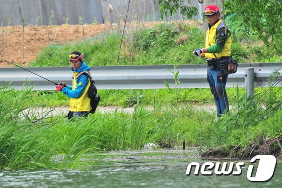강태공들이 루어 낚시로 큰입배스와 블루길을 잡고 있다./뉴스1 DB © News1 최창호 기자