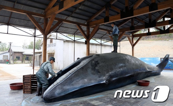 울산 고래문화마을의 고래 해체 장면 재현. © News1