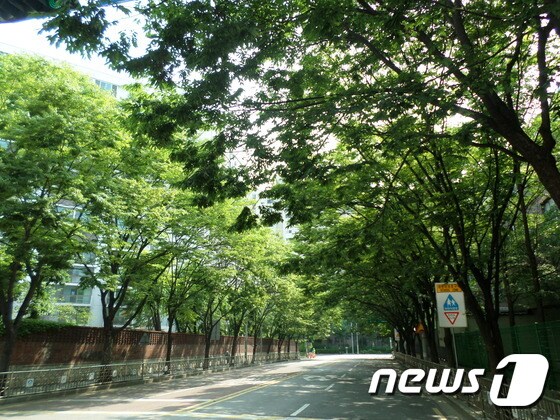 창일중학교 주변 녹음길(제공:서울시)© News1