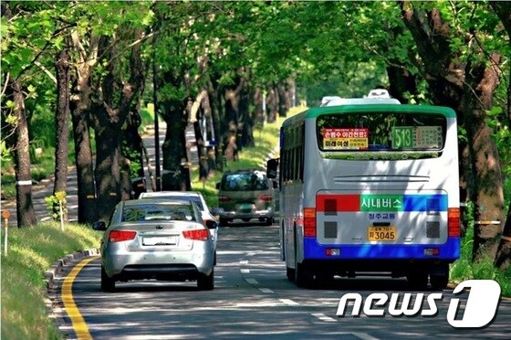 충북 청주시의 시내버스.(사진은 기사 내용과 무관함) / 뉴스1 © News1