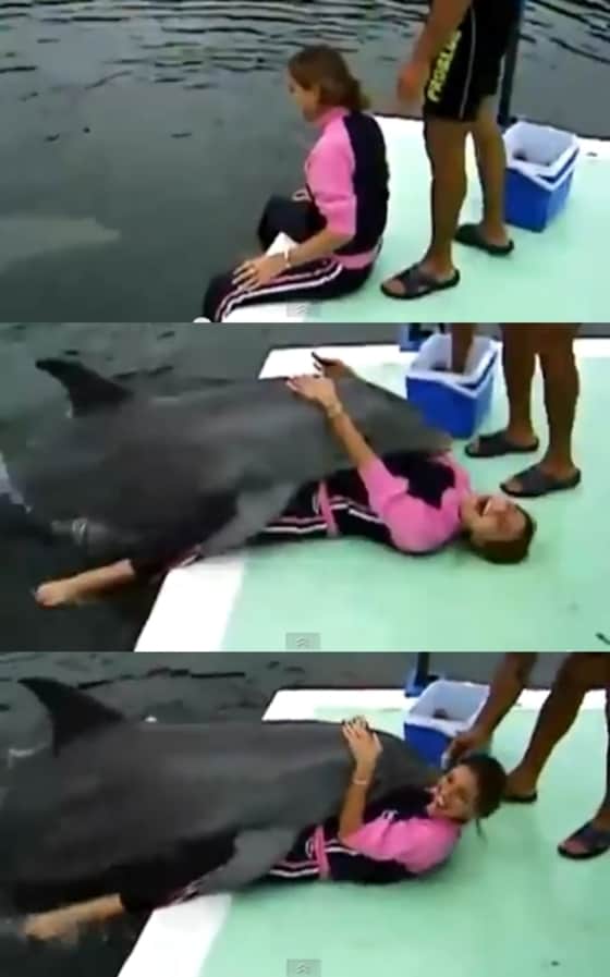 짝짓기에 급한 돌고래가 여성을 덮치는 영상이 화제다.© News1스포츠 / 유튜브 캡처
