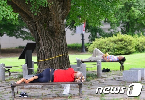 서울 경봉궁역 부근 앞 나무에서 시민들이 낮잠을 자며 휴식을 취하고 있다./© News1 손형주 기자