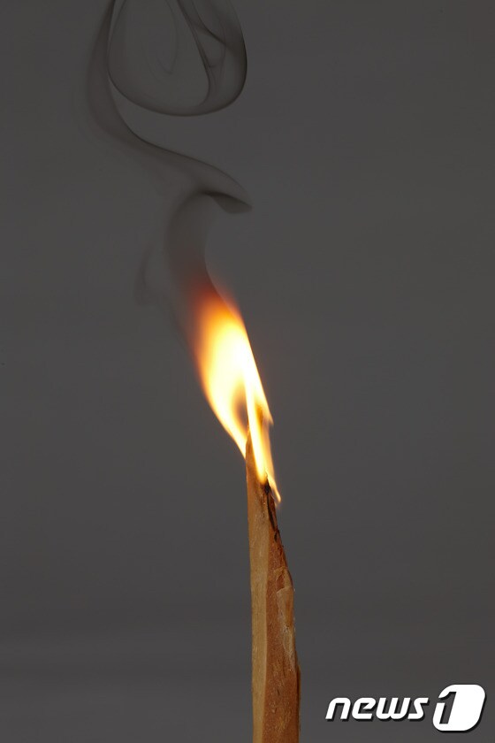 국립광주박물관은 9월1일부터 11월22일까지 광주 신창동 유적에서 출토된 발화도구를 전시하는 테마전 '불을 찾아서'를 개최한다.  사진은 불을 붙인 '관솔'.(국립광주박물관 제공)2015.8.31. © News1