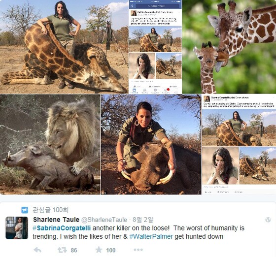 사브리나 코가델리는 자신의 트위터에 야생 동물을 도륙한 사진들을 게시하고 있다.(사진 사브리나 코가델리 트위터 캡처)© News1