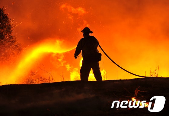 캘리포니아 전역에서 잇따라 발생한 산불이 거의 서울 전체 면적에 육박하는 토지를 불태웠다. © AFP=뉴스1