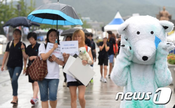동물을 위한 행동 및 동물단체 케어 활동가들이 8일 오후 서울 광화문 광장에서 북극곰의 고통을 함께 체험해보는 북극곰 체험행사를 갖고 있다. 2015.8.8/뉴스1 © News1 박정호 기자