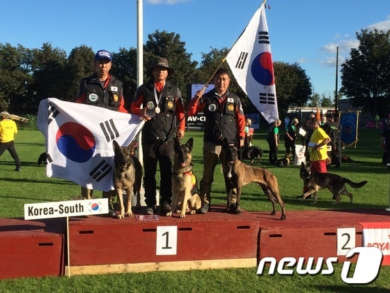2015 IRO 국제 인명구조견 대회에서 2위를 차지한 한국 인명구조견 팀.© News1