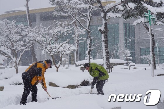 24일 오후 3시 현재 35cm 눈이 내린 고창읍내. 모양성 일대에서 고창군청 공무원들이 제설작업을 하고있다. © News1 박제철 기자